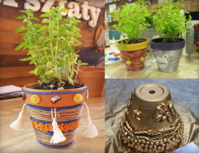 Tworzenie ziołowych mini ogródków w doniczce